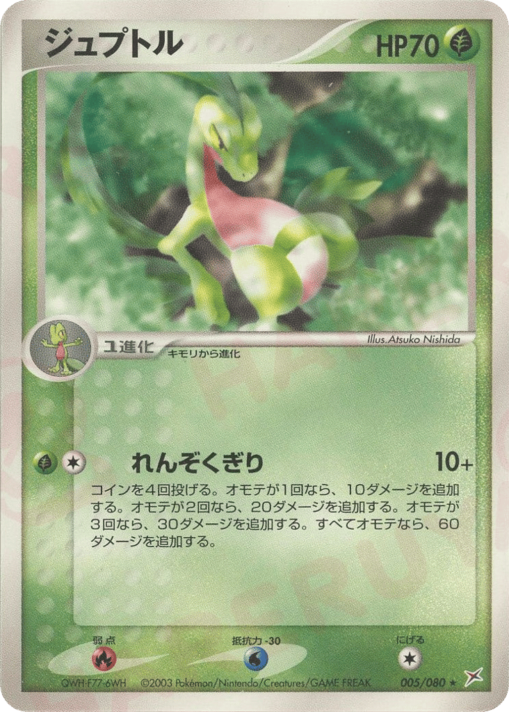 Grovyle — EX Team Magma vs Team Aqua #005 / 80