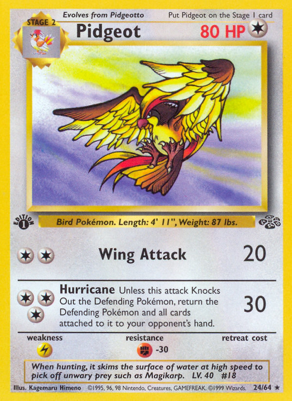 Pidgeot — Jungle #024 / 64