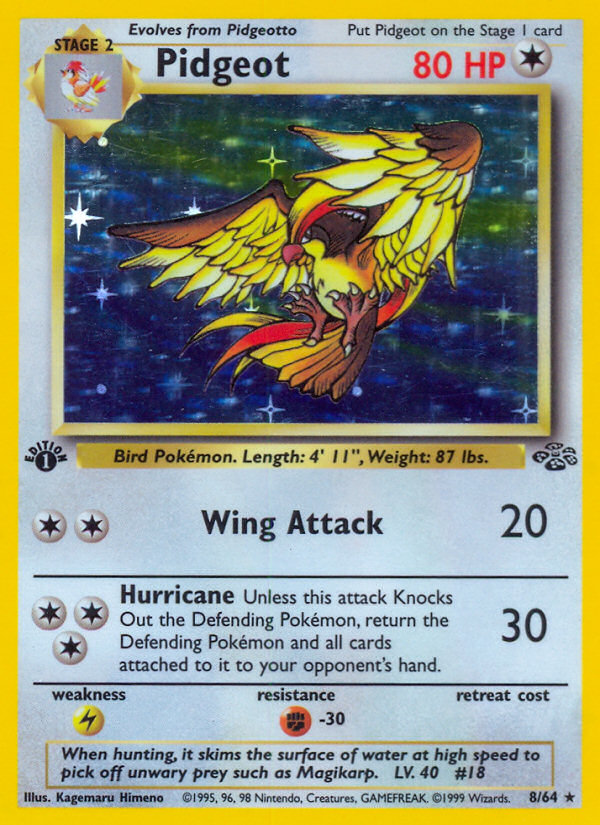 Pidgeot — Jungle #008 / 64