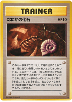 なにかの化石