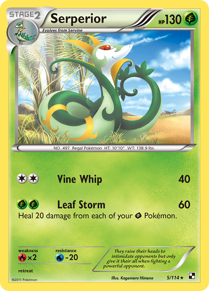 Serperior — Black & White #005 / 114
