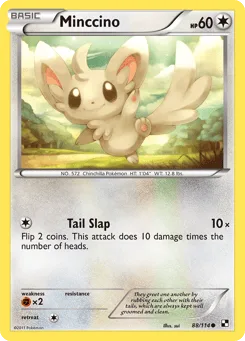 Minccino
