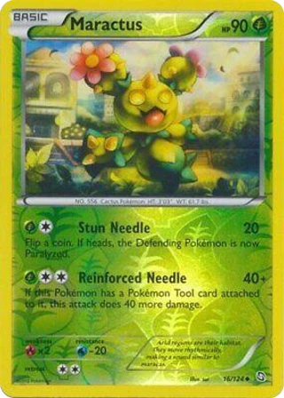 Maractus