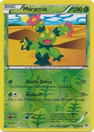 Maractus