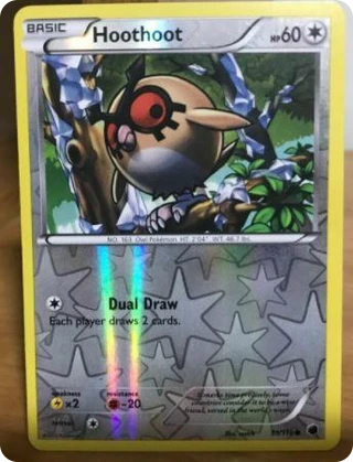 Hoothoot