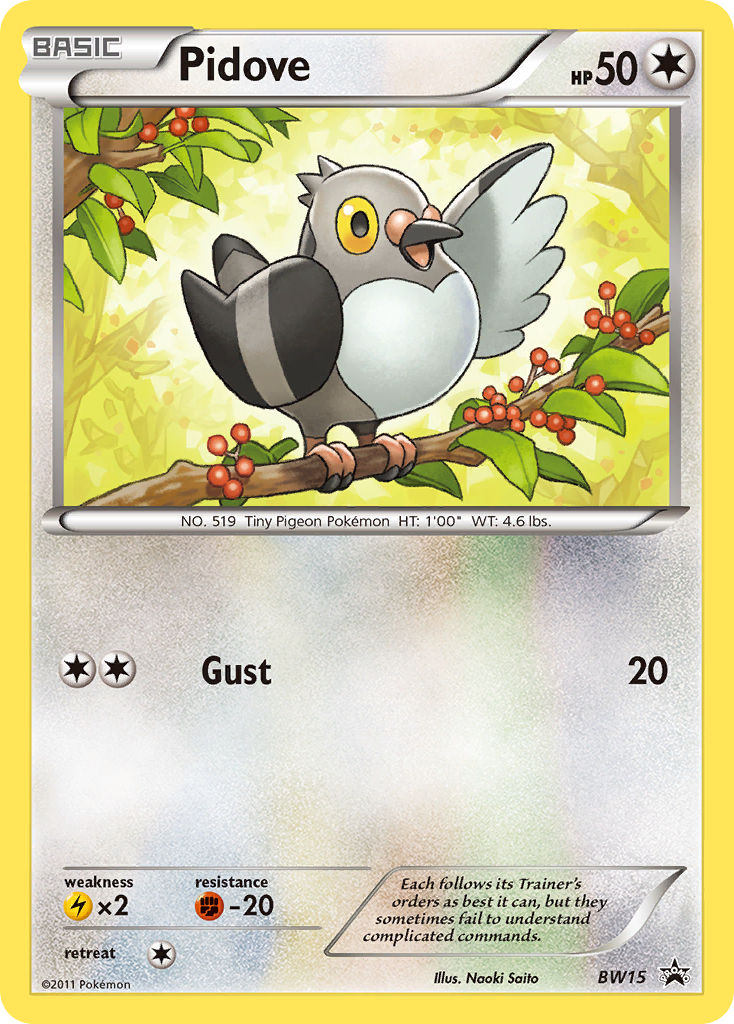 Pidove — BW Black Star Promos #015 / 101