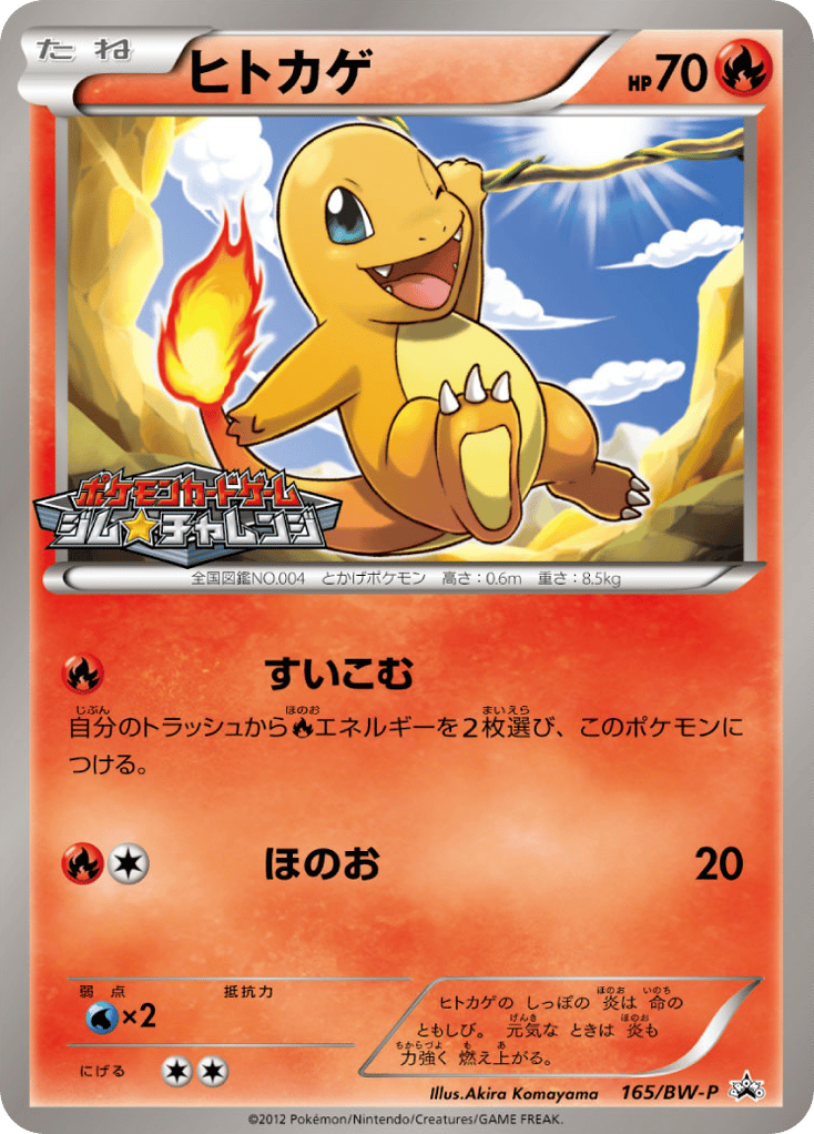 Charmander — Black & White Promos #165 / 236