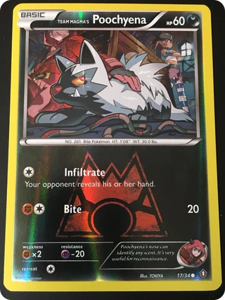 Team Magma's Poochyena