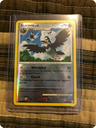 Staravia