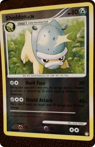 Shieldon