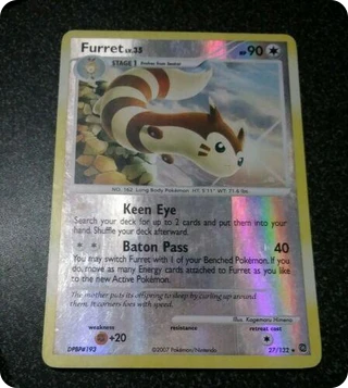 Furret