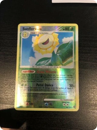Sunflora