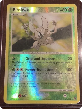 Pinsir