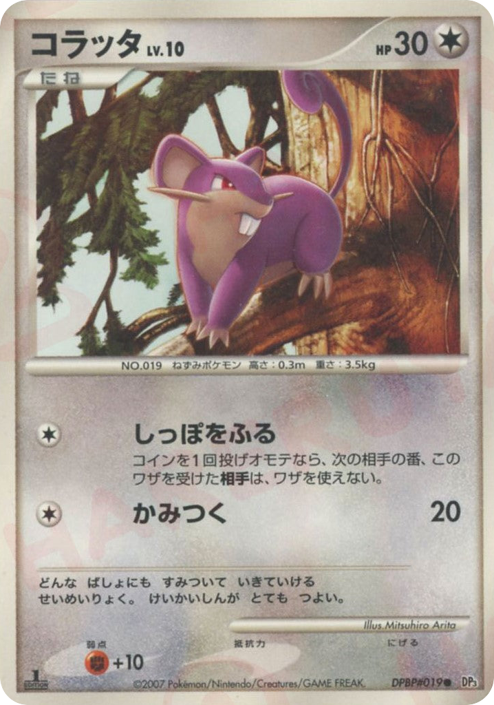 Rattata & Raticate — Secret Wonders #019 / 119