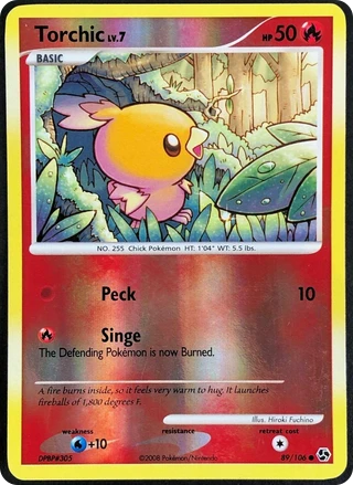 Torchic
