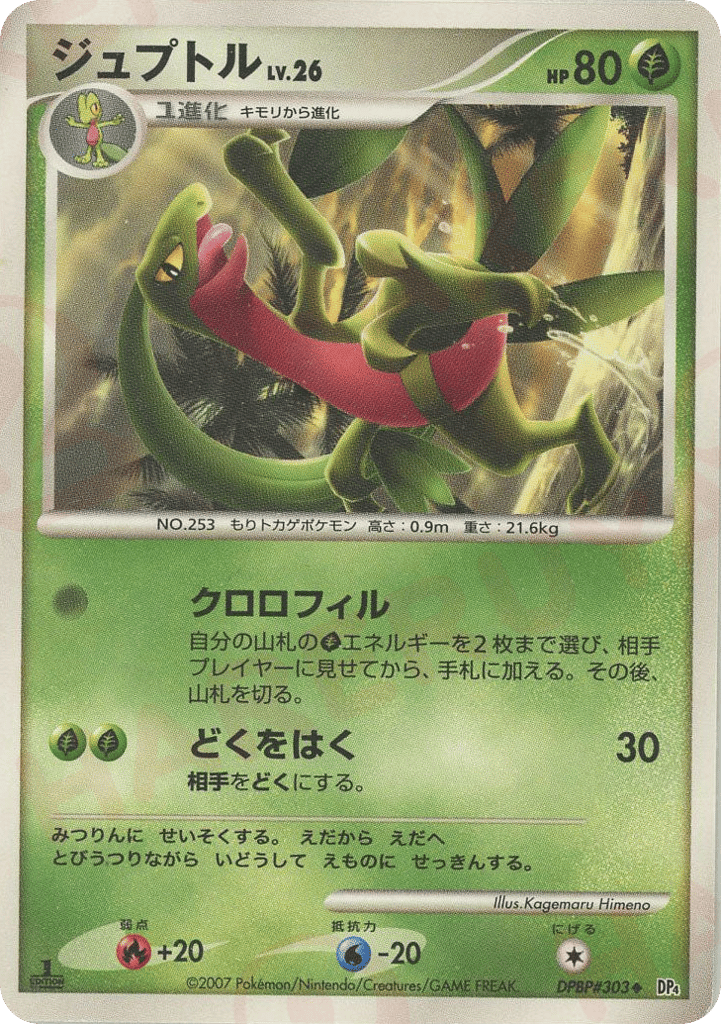 Grovyle — Dawn Dash #303 / 70