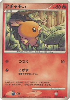 Torchic