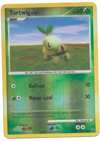 Turtwig