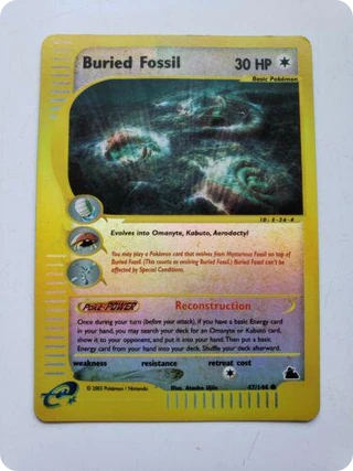 Buried Fossil