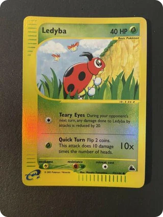 Ledyba