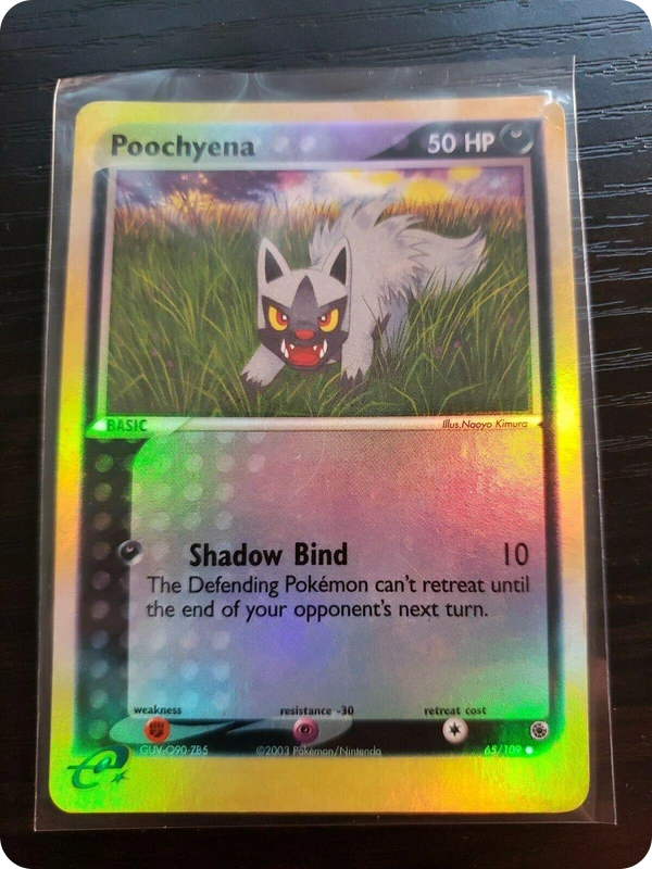 Poochyena — Ruby & Sapphire #065 / 109