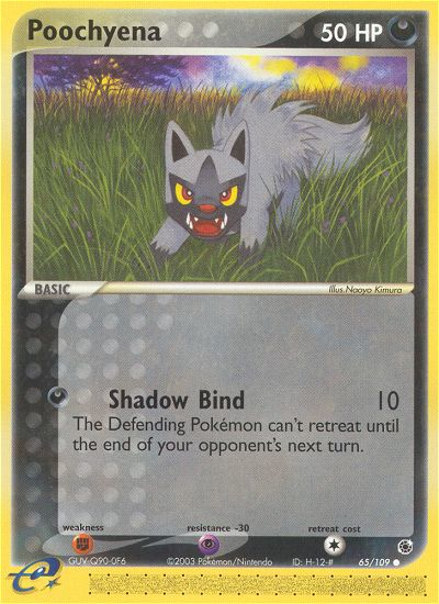 Poochyena — Ruby & Sapphire #065 / 109