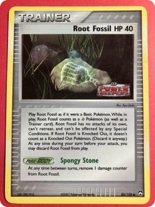 Root Fossil
