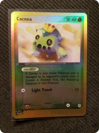 Cacnea