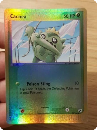 Cacnea