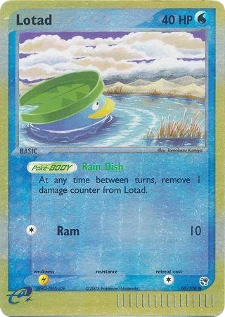 Lotad