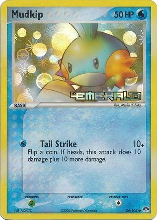 Mudkip