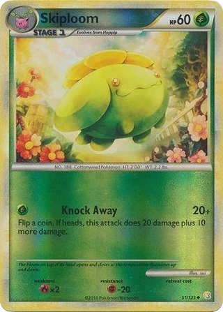 Skiploom