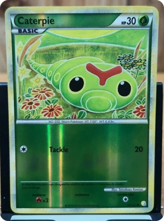 Caterpie