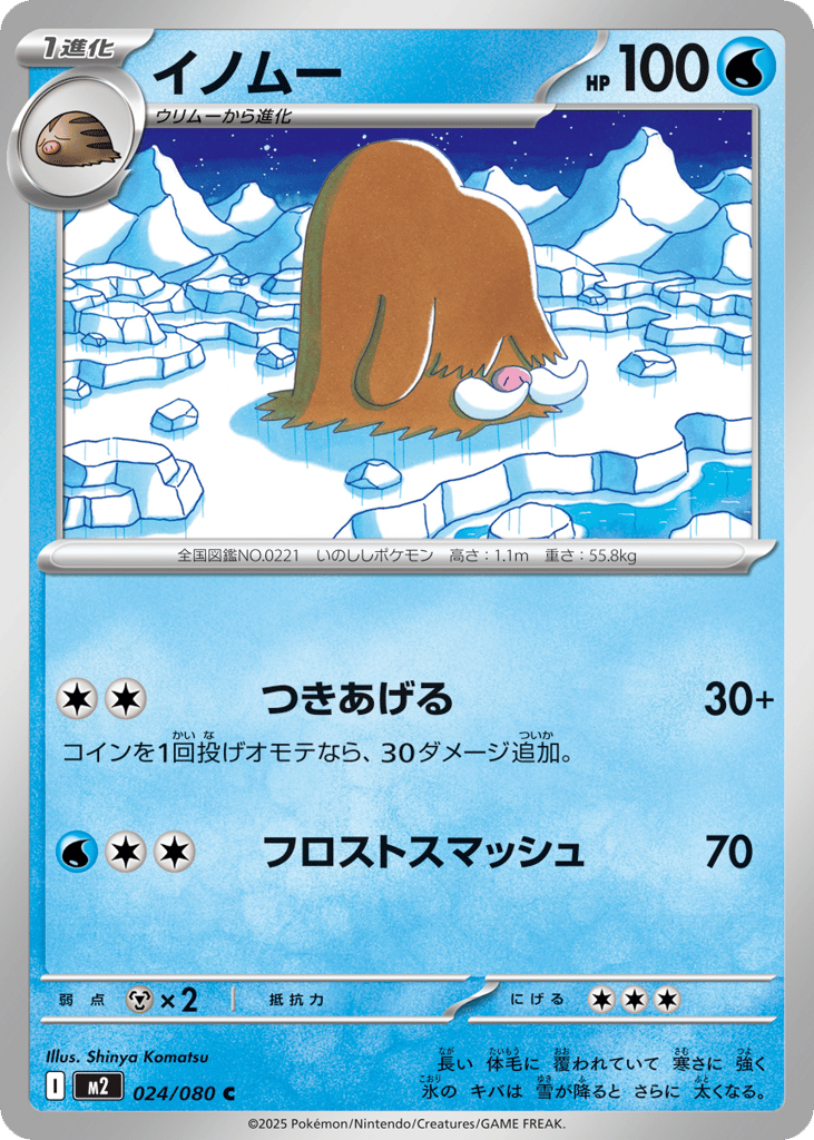 Piloswine — Inferno X #024 / 80