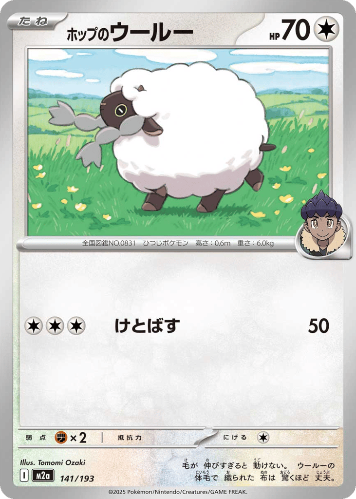 Hop's Wooloo (Energy Symbol Pattern) — High Class Pack: MEGA Dream ex #141 / 193