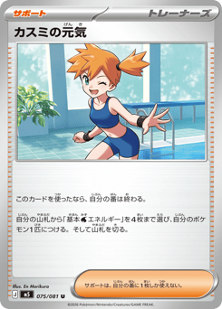 Misty's Spirit
