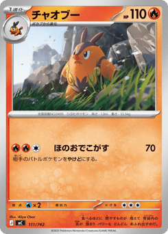 Pignite - 111/742 (Mirror Holo)