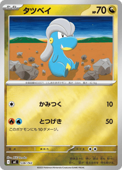 Bagon (Mirror Holo)