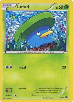 Lotad