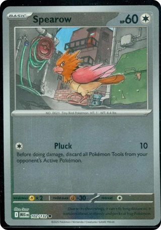 Spearow