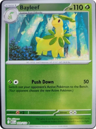 Bayleef