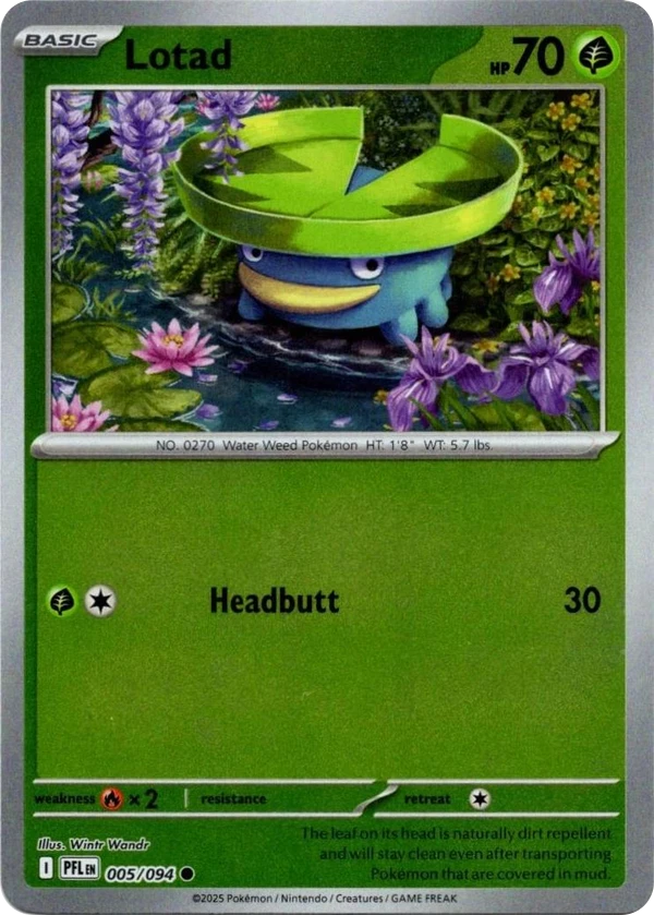 Lotad — Phantasmal Flames #005 / 94