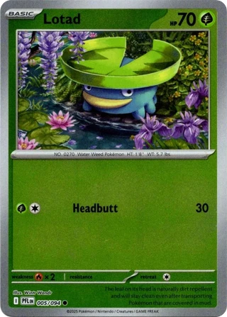 Lotad