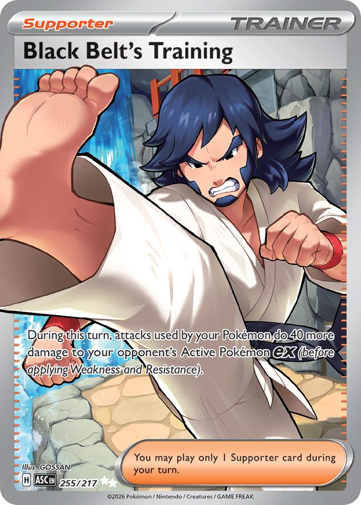 Black Belt's Training — Ascended Heroes #255 / 217