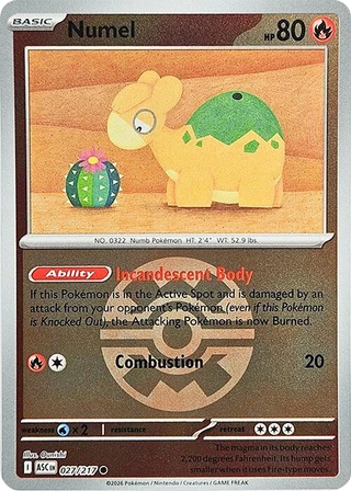 Numel