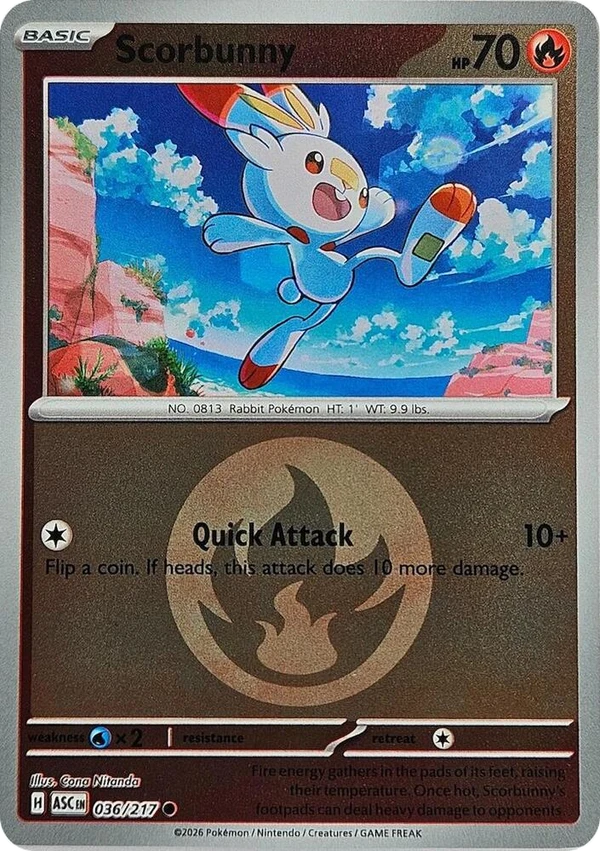 Scorbunny — Ascended Heroes #036 / 217