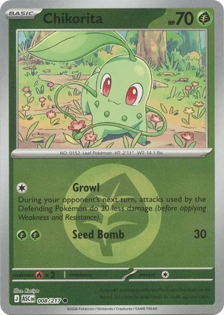 Chikorita