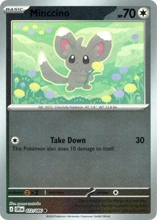 Minccino