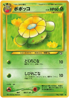 Skiploom