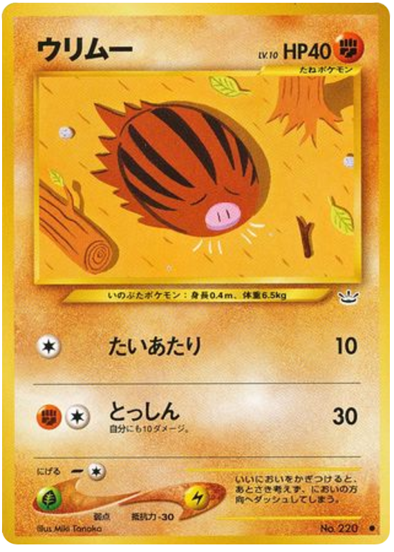 Swinub — Neo Revelation #220 / 57